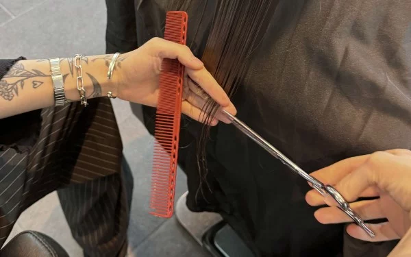 ART CONCEPT Preise Schüler